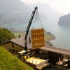 IMG 0774